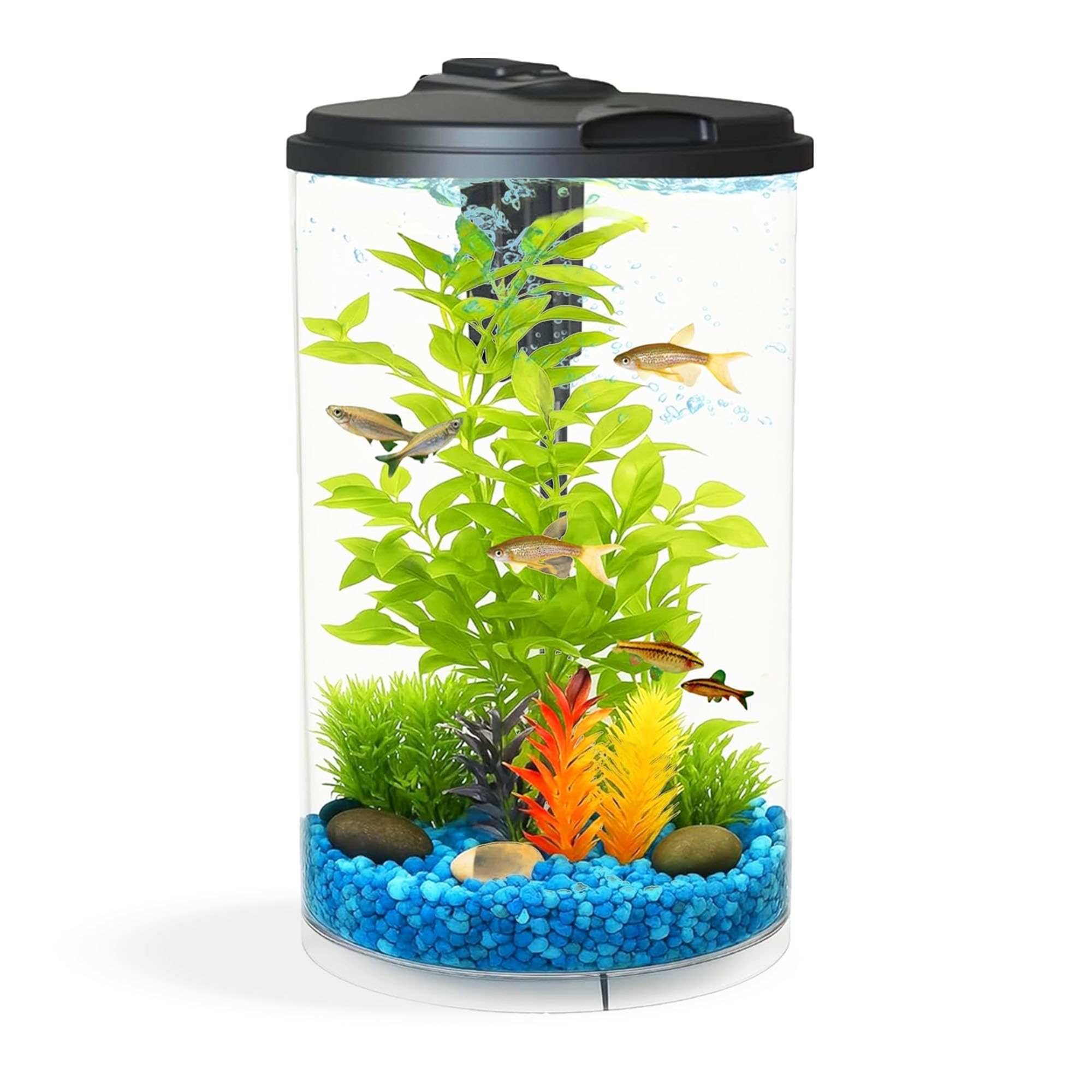 Koller Products AquaView 3-Gallon 360 Aquarium with LED Lighting (7 Color Choices) and Power Filter, 10.25 x 10.25 x 14.5
