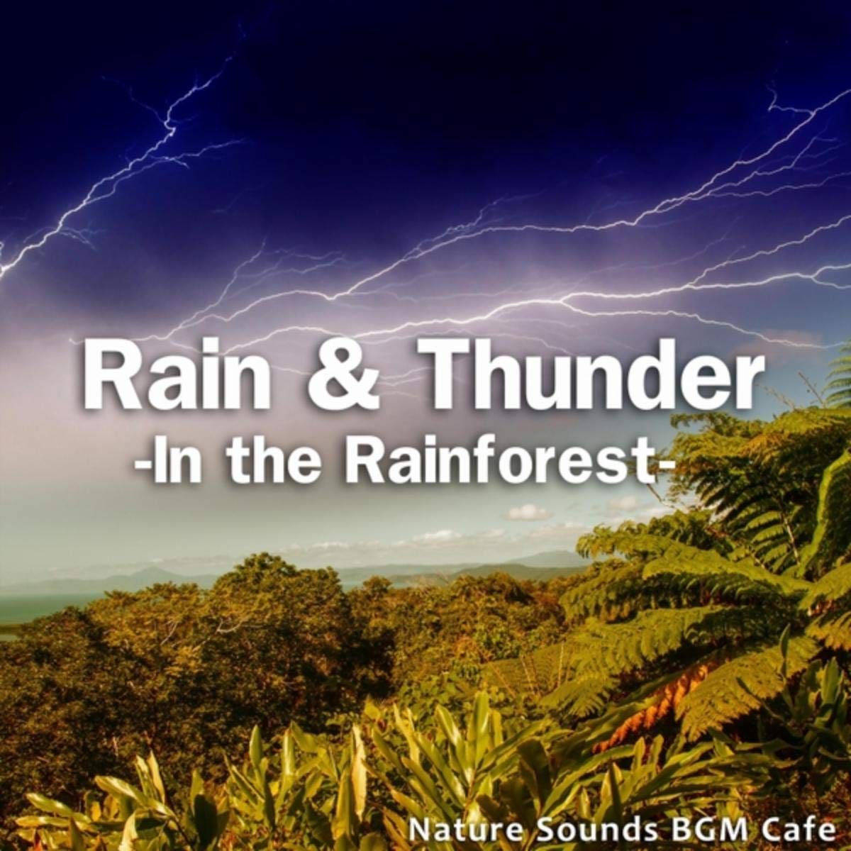 Nature Sounds BGM Cafe