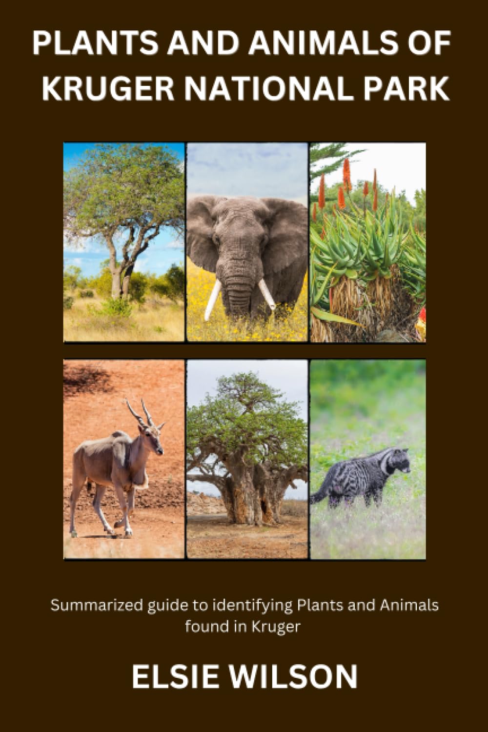 Plants and Animals of Kruger National Park: Guide to Exploring Flora and Fauna in Kruger National Park
