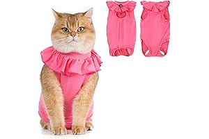 Cute Kitten Surgery Recovery Suit: A Post-Surgery Must-Have for Female Felines