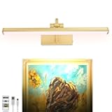 HAMVIDNE Picture Light, LED Picture Lights Battery Operated with Remote, Rechargeable Picture Lights for Wall, Dimmable Metal Picture Light for Painting Display Dartboard Portrait Gallery-Gold