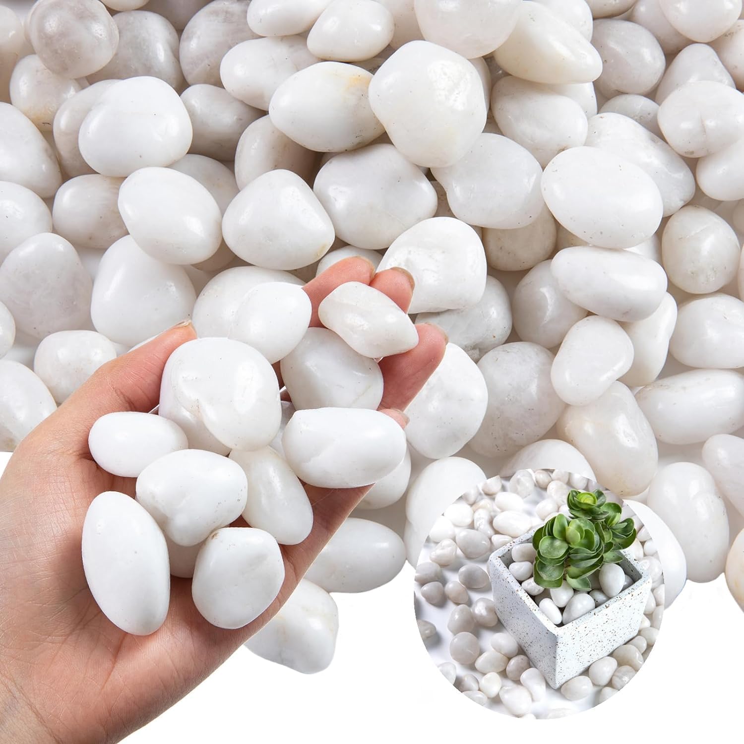 Garden Art 5/kg New Mix Polished Pebbles for Home Decor | Best for Home, Garden, Pot Plants, Fish Tank and Landscaping (White Medium, 5 KG)-image-17