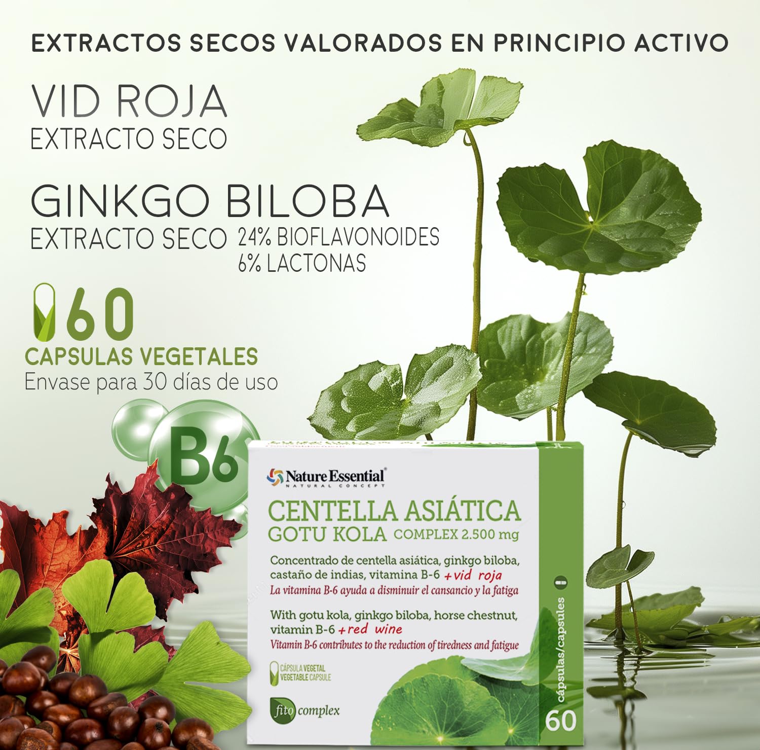 Nature Essential | Centella Asiática Complex 2500 mg | 60 Cápsulas (Pack 2 Unidades) | Con Castaño de Indias, Vid Roja y Ginkgo Biloba