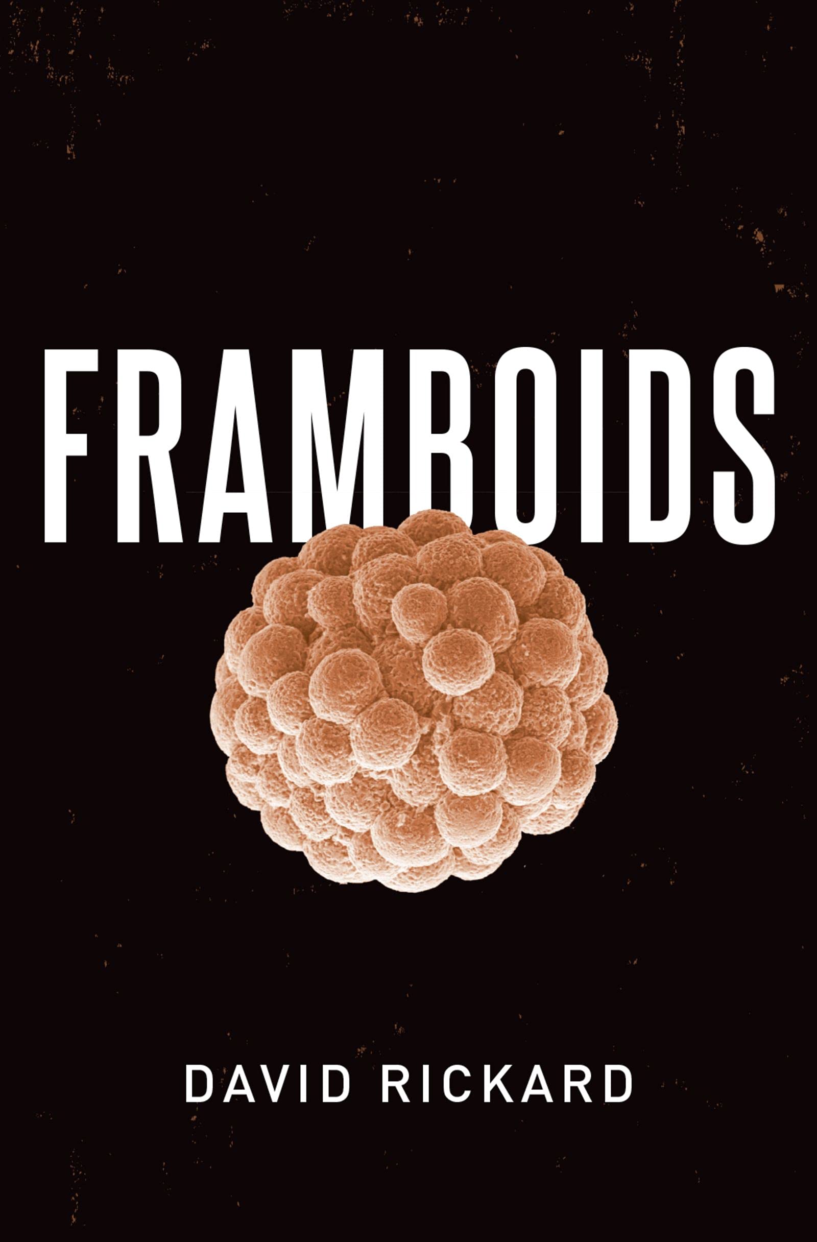 Framboids (English Edition)