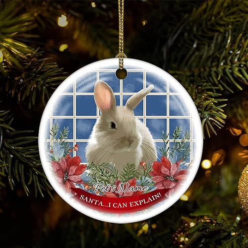 Cheyan Adorno de Navidad de conejo con nombre de mascota adorno de árbol de Navidad para decoración del hogar corona adorno de porcelana colgante de Cheyan Adorno de Navidad de conejo con nombre de mascota adorno de árbol de Navidad para decoración del hogar corona adorno de porcelana colgante de