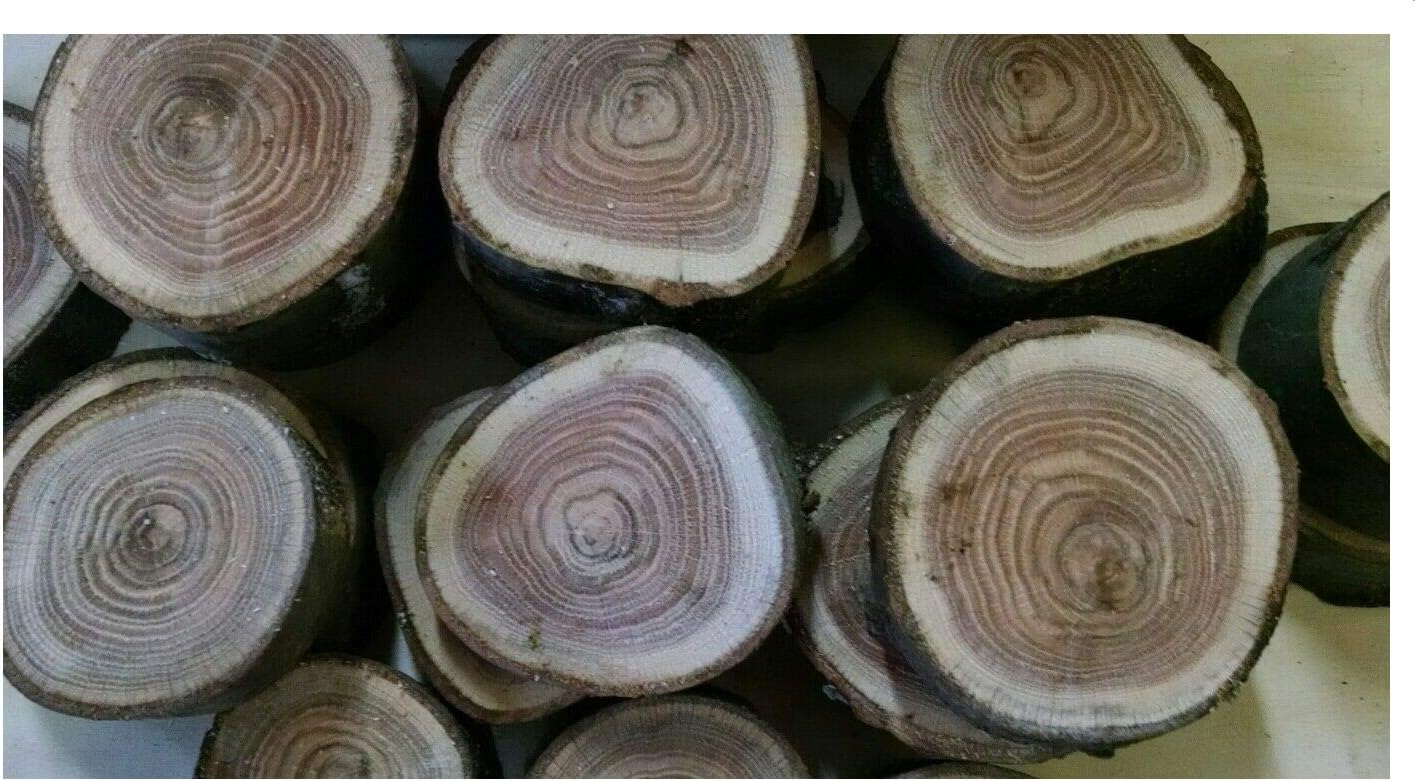 LTD Red Oak Wood Chunks/Slices for BBQ/Grilling/Wood Smoking!!!