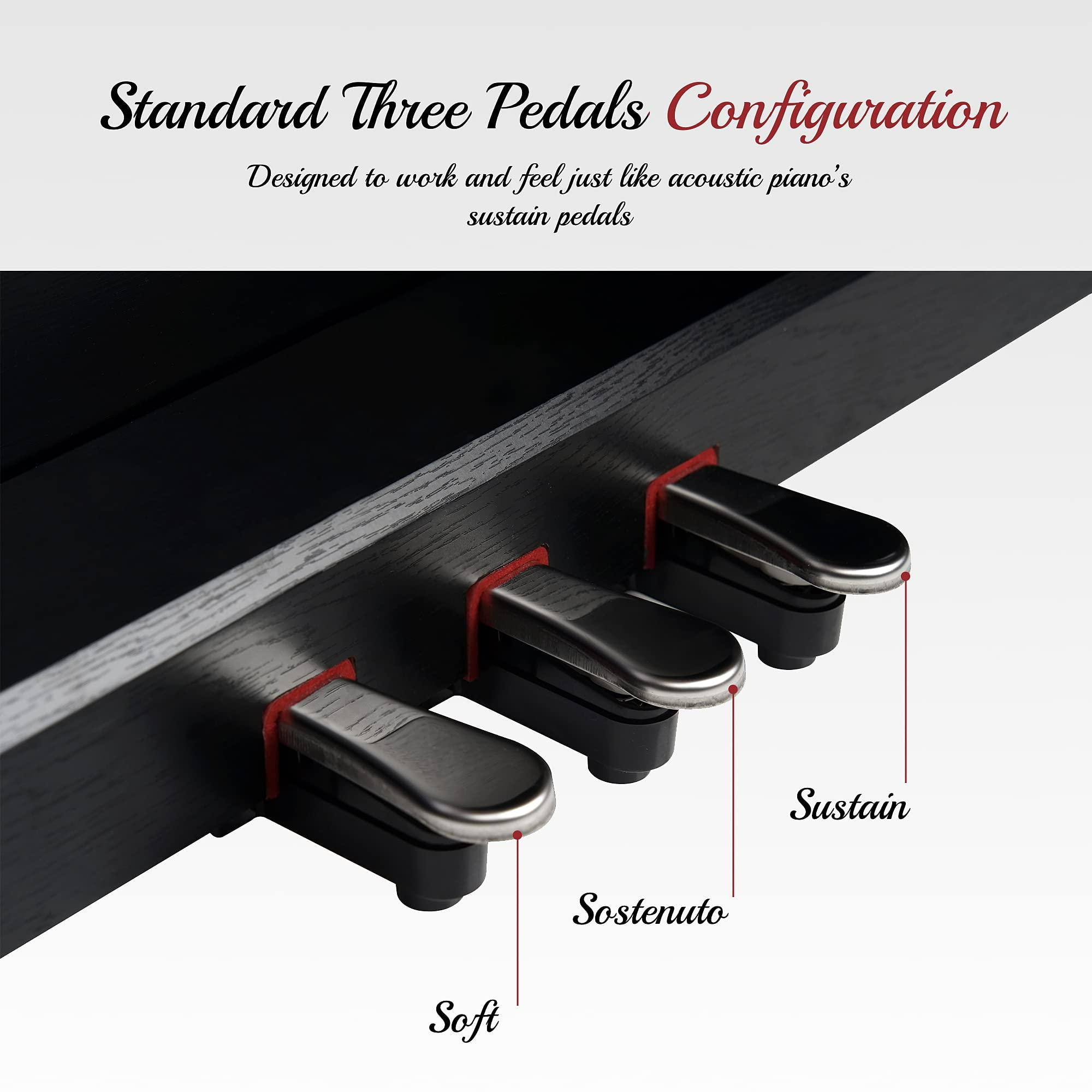 Snapklik.com : Lexington 88 Key Weighted Home Digital Piano, Hammer ...