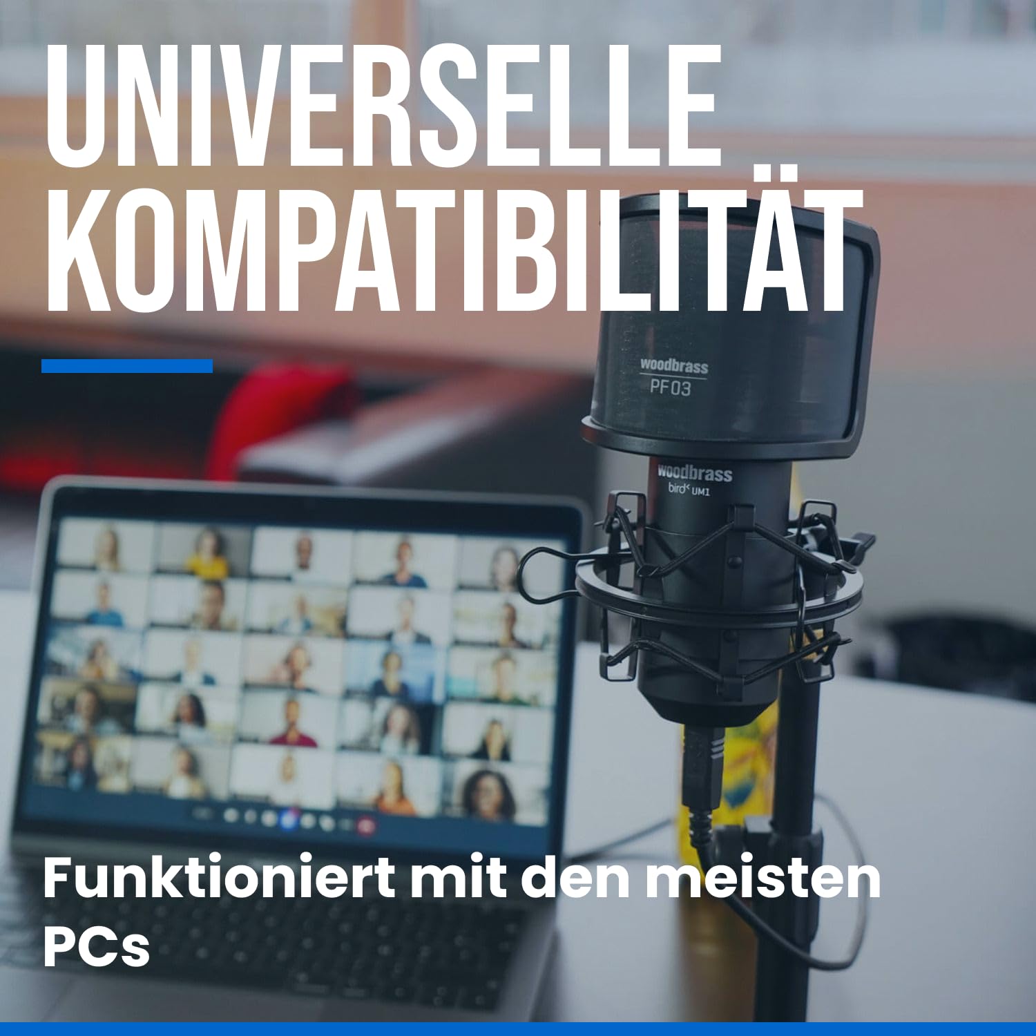 WOODBRASS Bird UM1 Podcast Pack Schwarz - USB-Kondensatormikrofon mit Nierencharakteristik für PC und Mac für Broadcasting und Streaming Recording, Podcasting, Konferenzen, Heimstudio Mao, Voice-Over