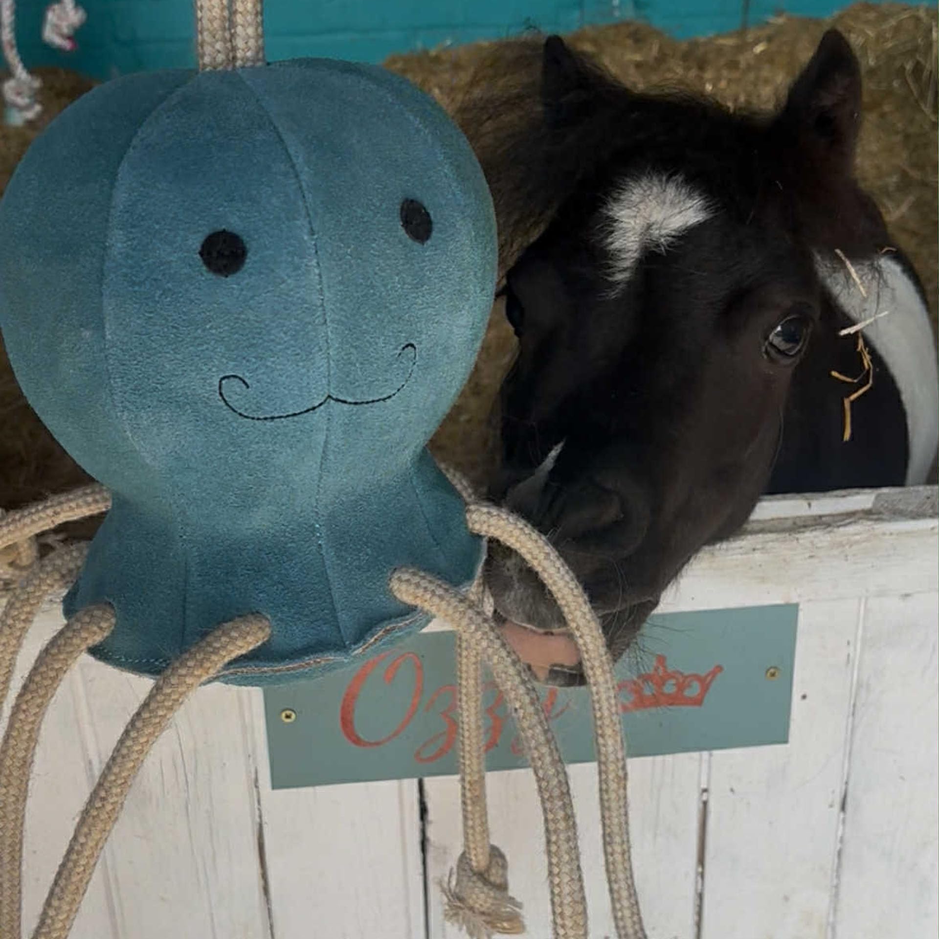 Ruggles Horse Stable Toy | Boredom buster for horse pony donkey | Equine stress relief toy - Ollie Octopus (Blue)