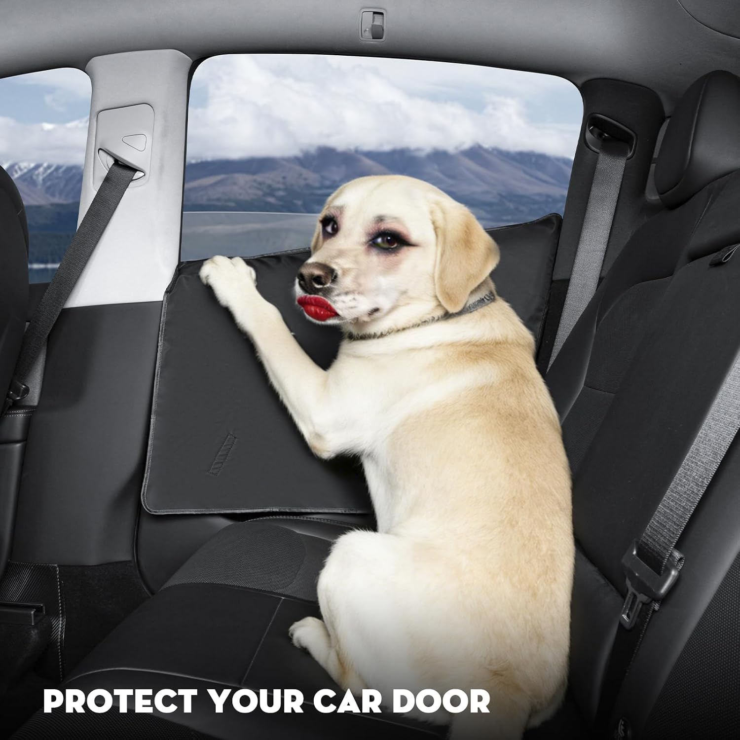 2PCS Dog Car Door Protector for Tesla Model Y/3 image 3