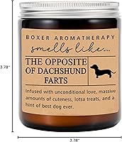 Vista 5 de HTDesigns Regalos de perro salchicha – Mamá salchicha – Regalo para perro Wiener – Vela de perro salchicha – Perro salchicha de pelo largo – Perro