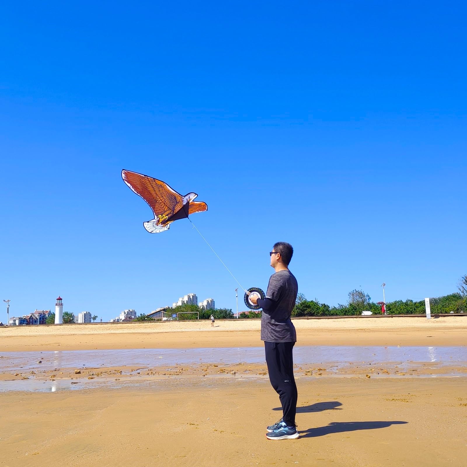 Aquilone Bald Eagle per bambini e adulti, facile da pilotare, migliori aquiloni per principianti | Grande aquilone da falco per spiaggia, 91,4 m, manico a corda, aquila per bambini e adolescenti, 180,3 x 81,3 cm