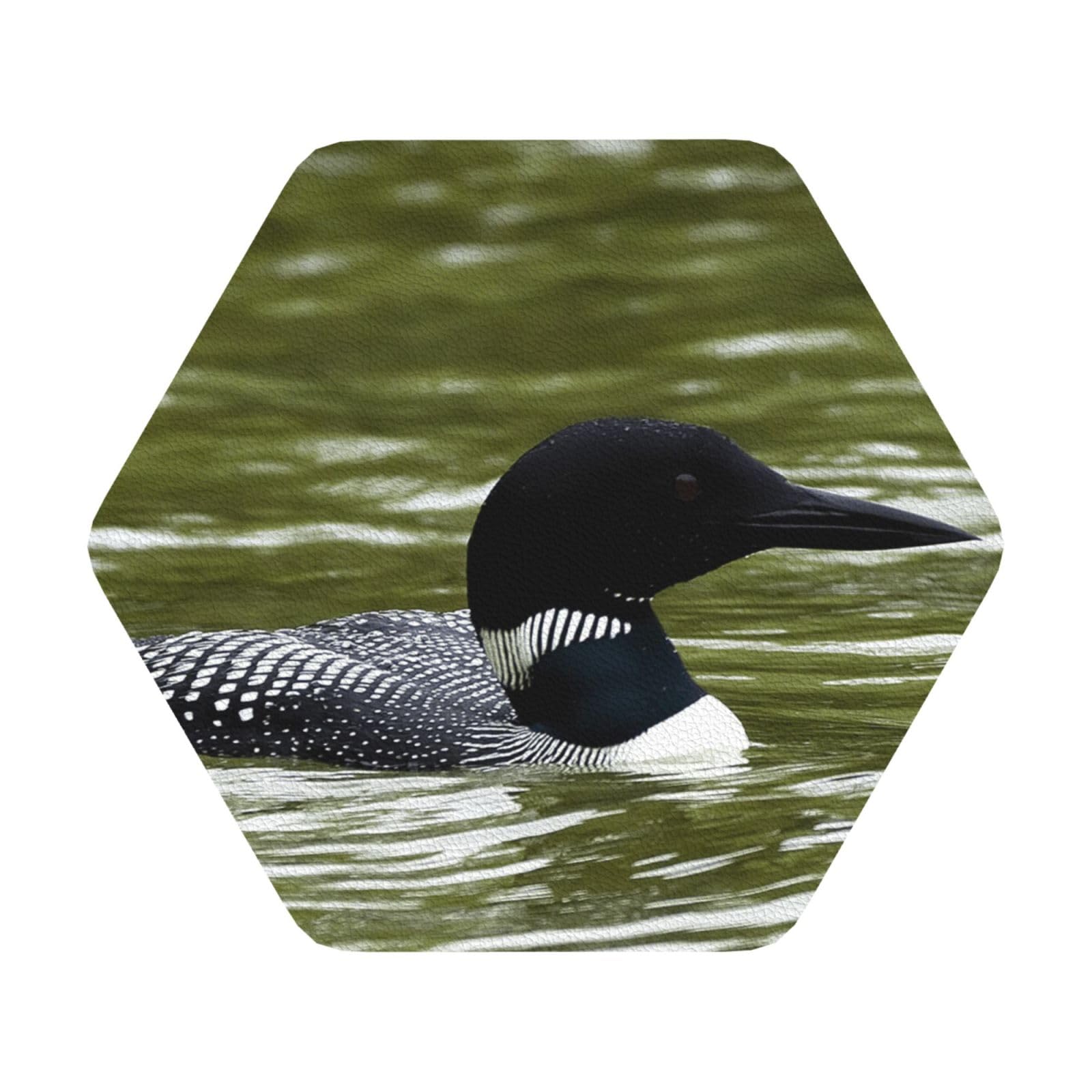 Loon Nature Birds PU Leather Coasters Set of 6 Hexagon Drink Coasters