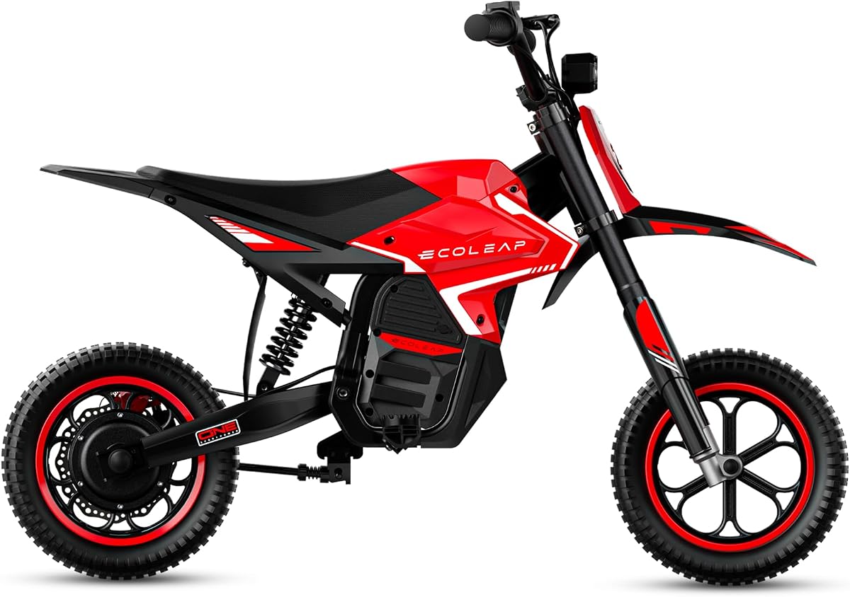 K2 Kids Dirt Bike