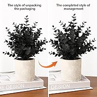 Vista 7 de Paquete de 2 Plantas Falsas de Eucalipto Negro Pequeñas Plantas Falsas en Maceta Plantas Artificiales para Decoraciones de Halloween Estante