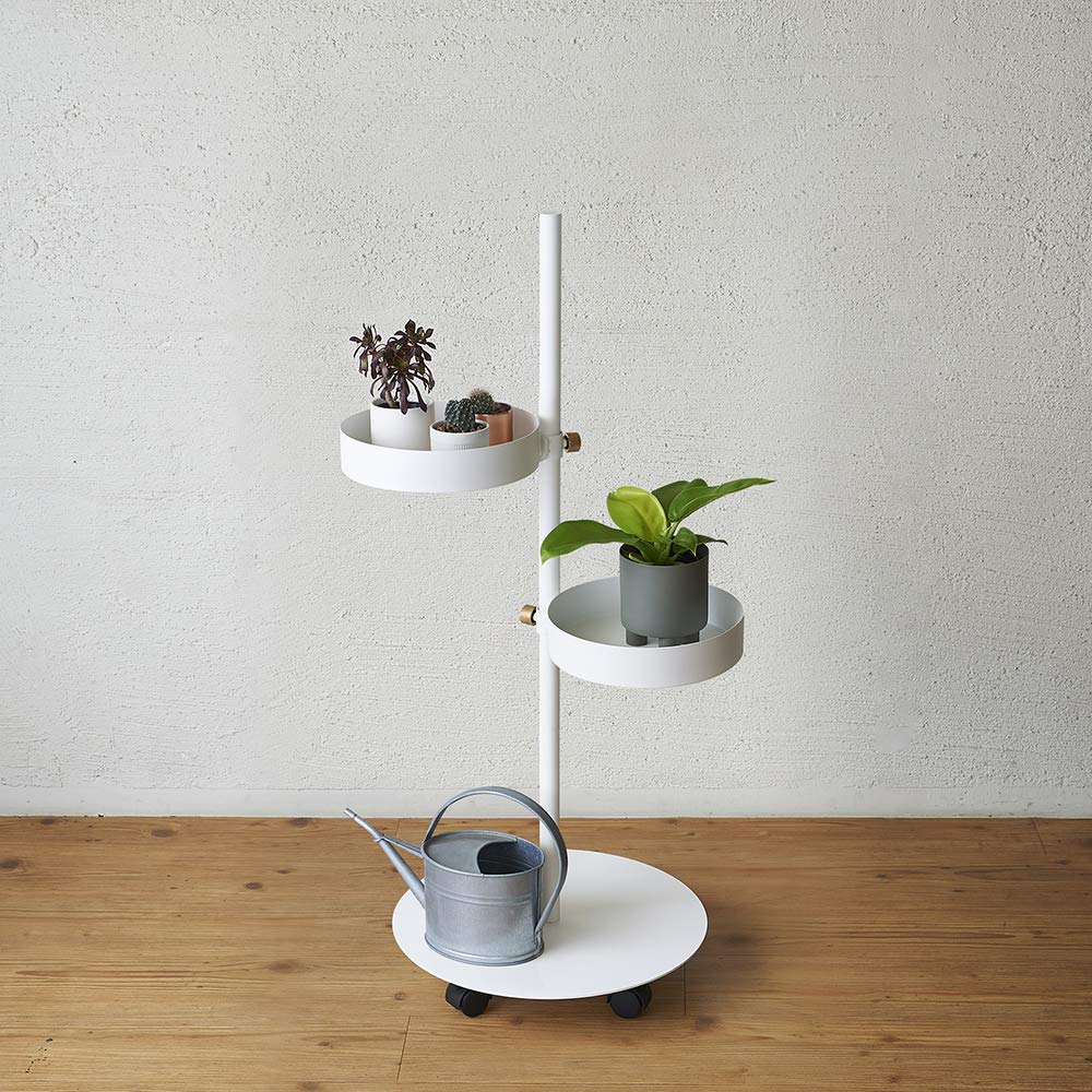 Amazon.co.jp: DRAW A LINE MOVE ROD グリーンプランター ホワイト