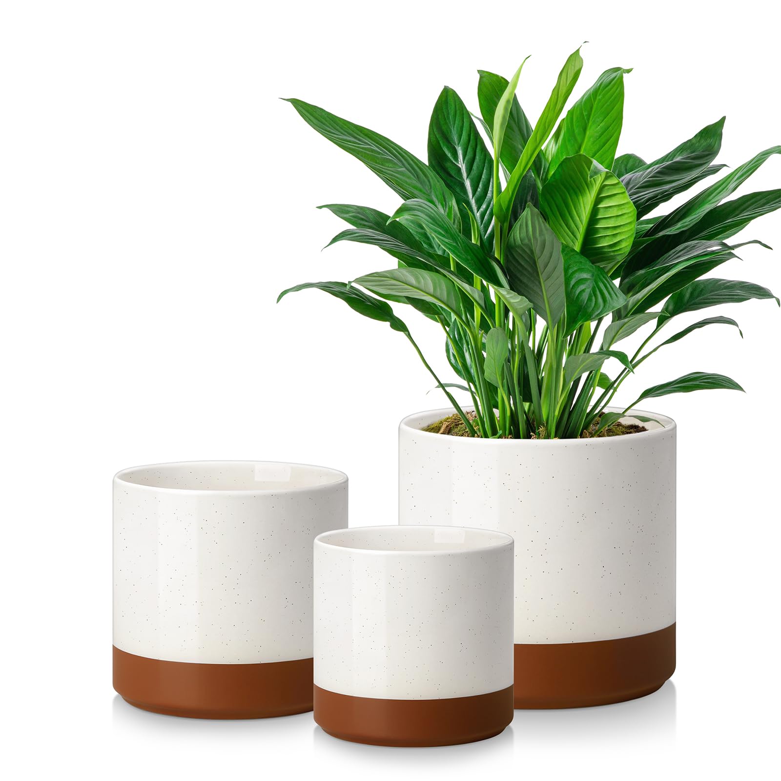 Khaki Ceramic Planter Set - 3 Piece