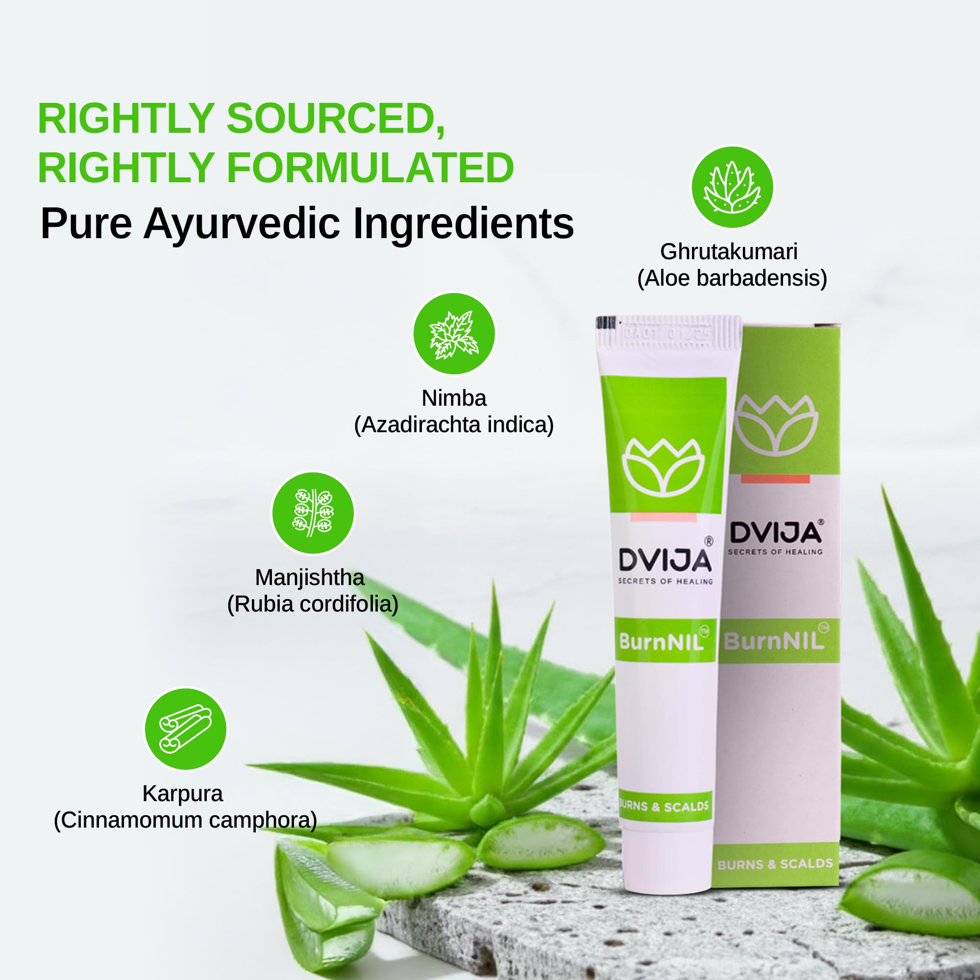 Dvija BurnNIL Ayurvedic Gel for Soothing relief - 30gm | Natural and effective healing of Burns and blisters and antimicrobial protection and skin regeneration| Pack of 1 4