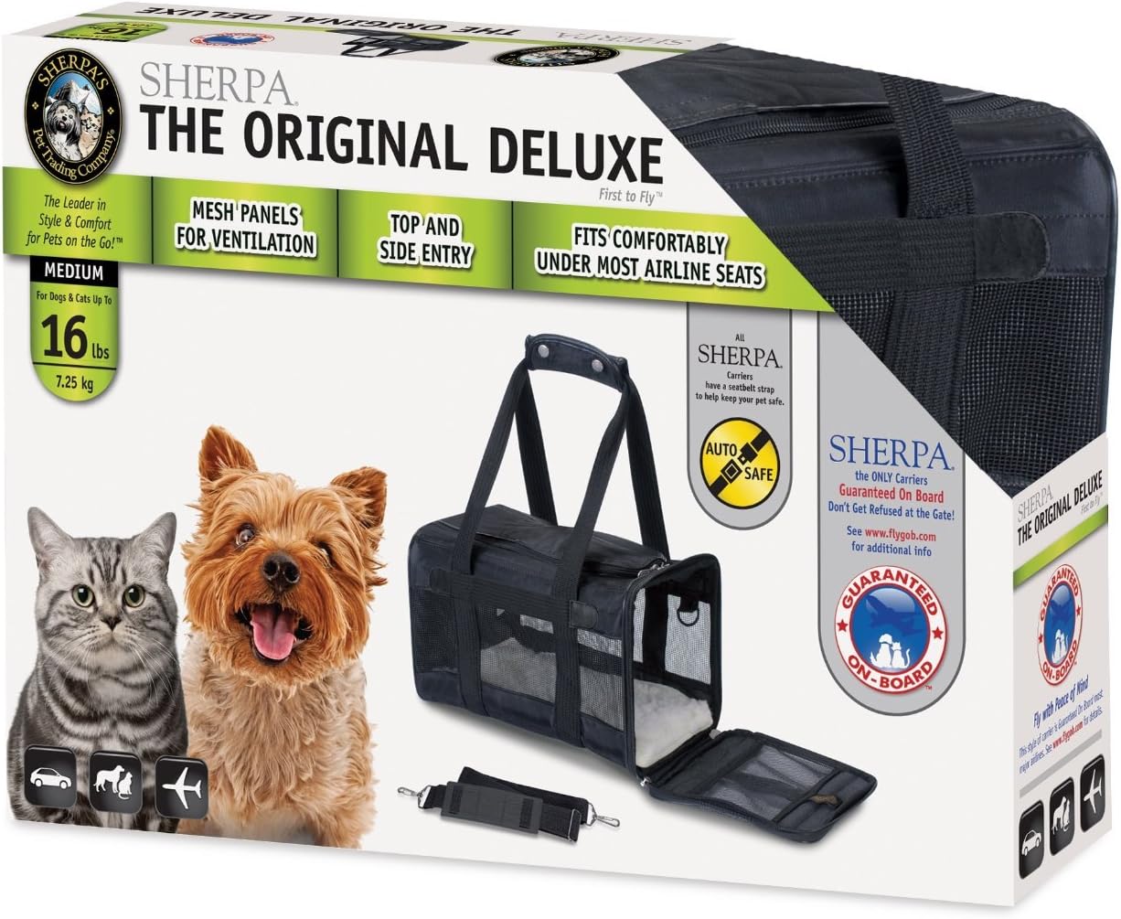 What Size Dog Can Fit Under An Airline Seat