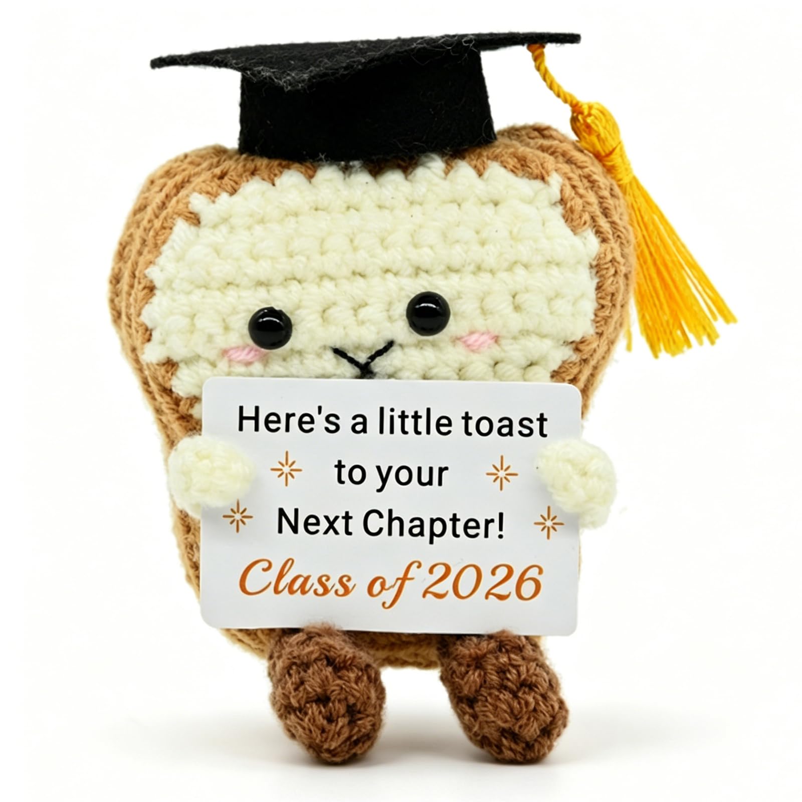 ZPSOSPZ Handmade Knitted Positive Toast Doll with Inspirational Card