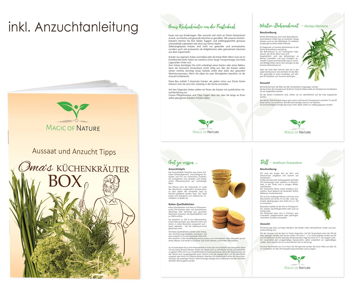 Magic of Nature Oma`s pudełko na zioła kuchenne – zestaw do uprawy – 5 rodzajów świeżych ziół BIO – do samodzielnej uprawy lub na prezent