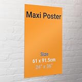 Pyramid International 61 cm x 91.5 cm PP0830 Back To the Future Maxi Poster - 6