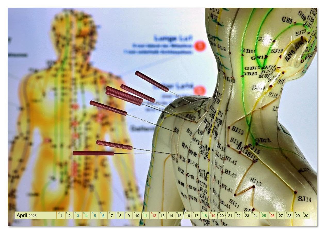 Akupunktur - Im Bann der Nadeln (hochwertiger Premium Wandkalender 2026 DIN A2 quer), Kunstdruck in Hochglanz: Jeden Monat im Einklang mit dem Qi (CALVENDO Gesundheit)