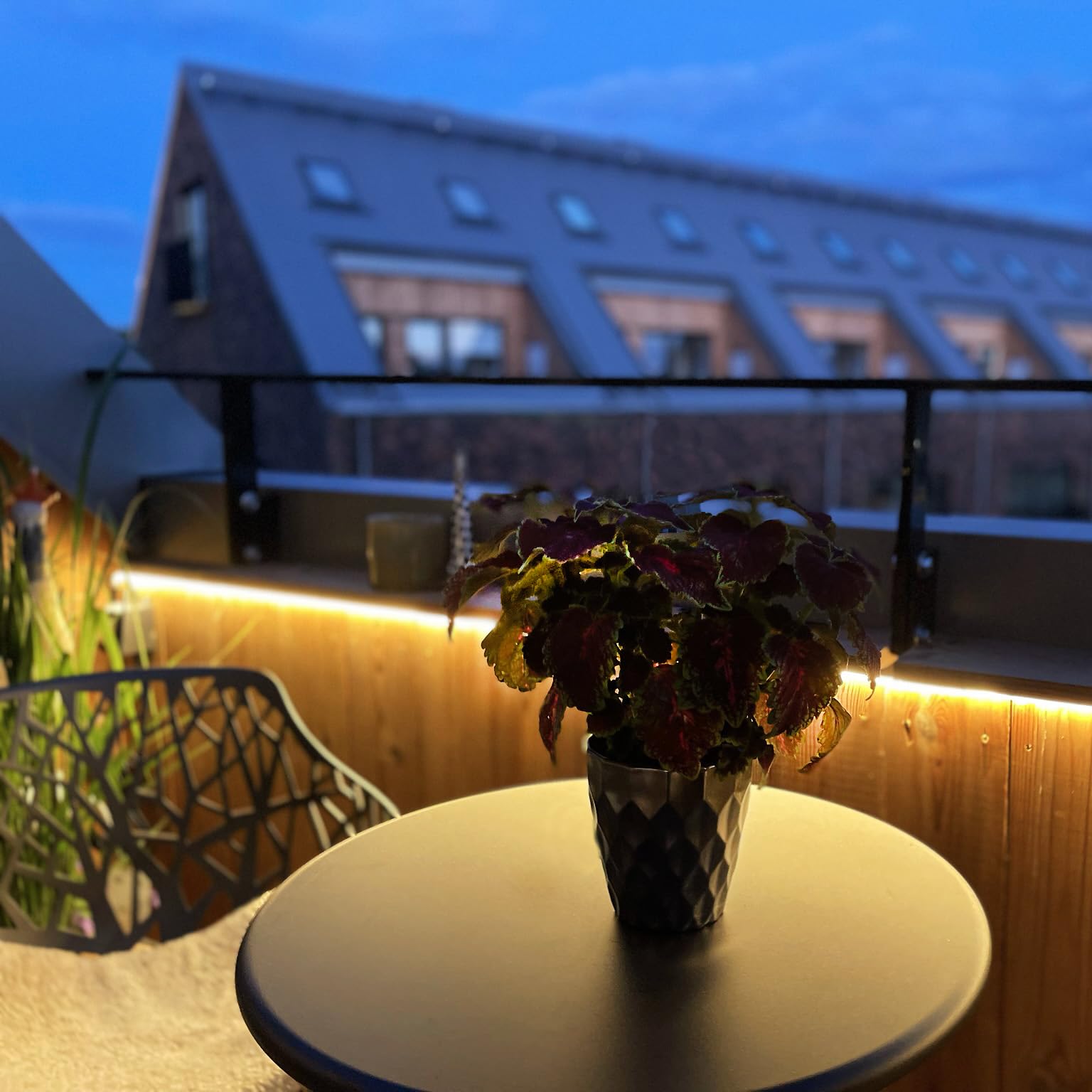 LightsOn Strip 2.5m Lichtstreifen Plug & Play LED Gartenbeleuchtung: 12V-System, Flexibles & Dimmbares Warmweißes Licht, Einfach zu montieren & Ausbauen, für Altane, Treppen & Kanten