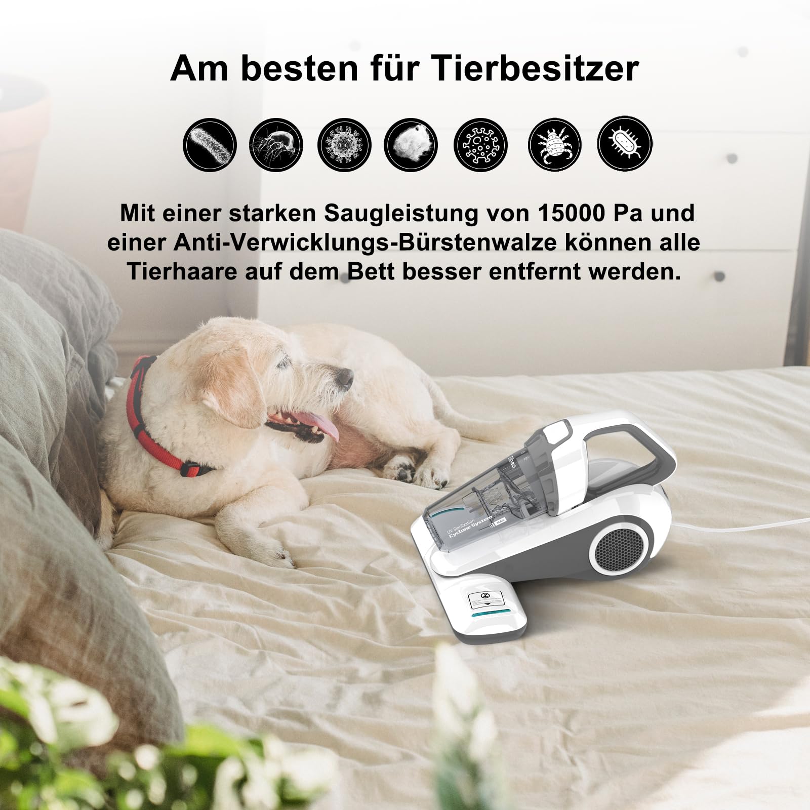Dibea 15Kpa Milbensauger mit UV-C-Licht 300W Handstaubsauger Matratzen entfernt 99,99% Allergiker Bakterien Allergene Bettwanzen