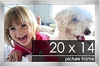 Vista 181 de Marco de 28 x 36 pulgadas de madera de peltre plateado con plexiglás acrílico UV, parte trasera de tablero de espuma y accesorios incluidos