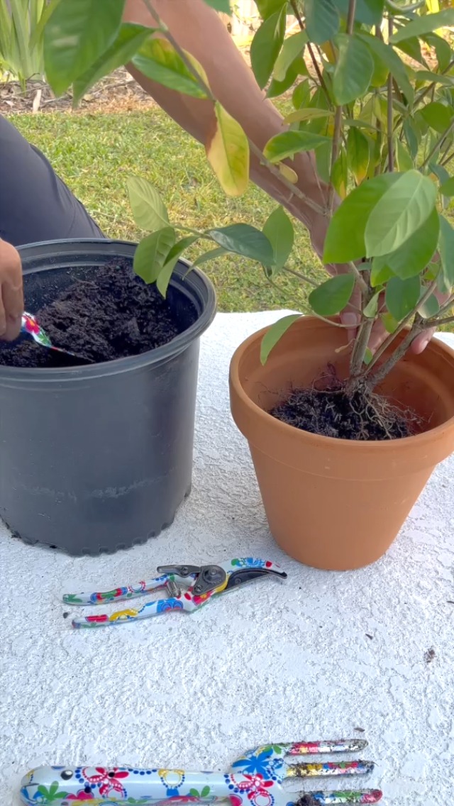 Set de herramientas de jardinería con diseño floral, 3 piezas miniatura 7