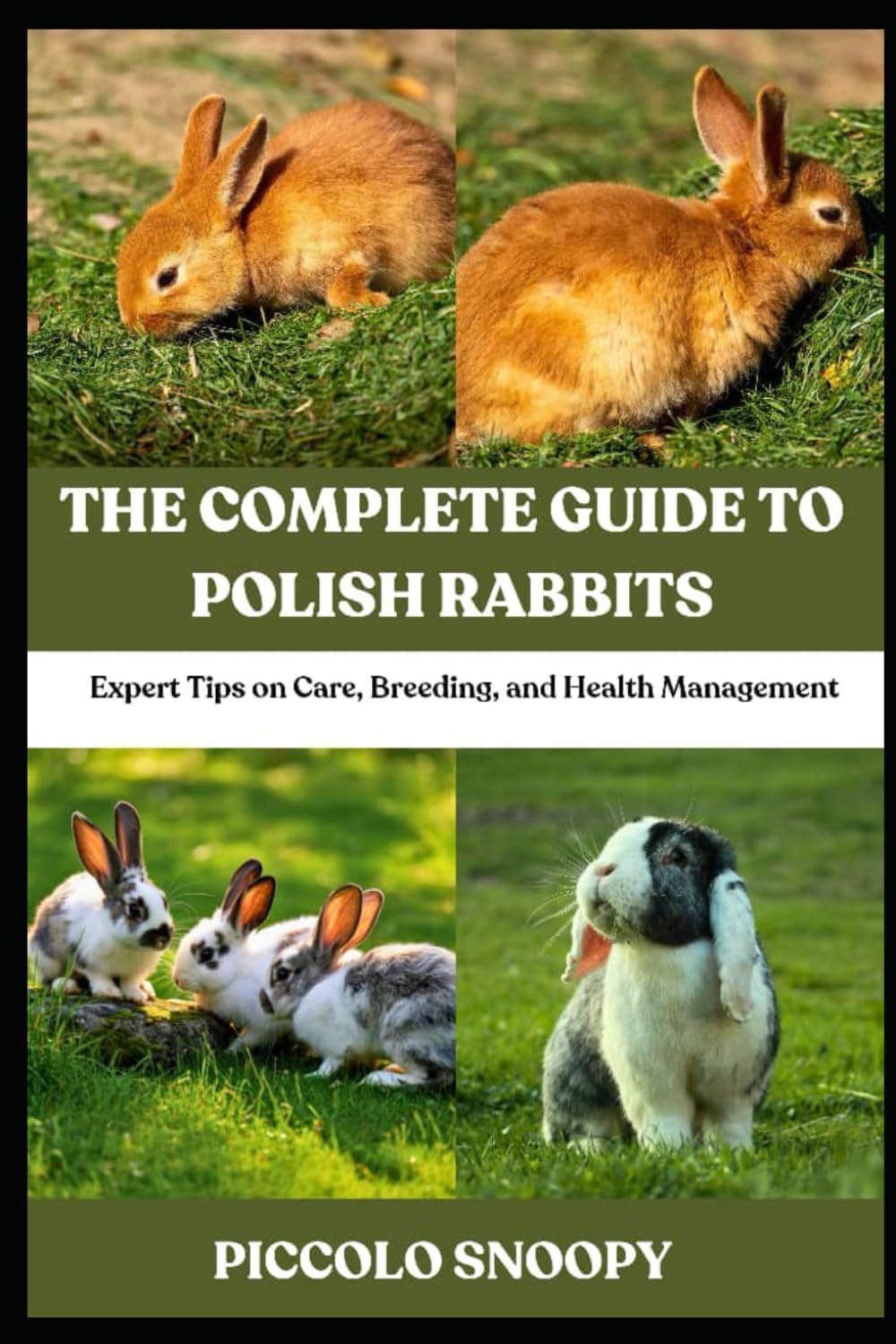 The Complete Guide to Polish Rabbits: Expert Tips on Care, Breeding, and Health Management