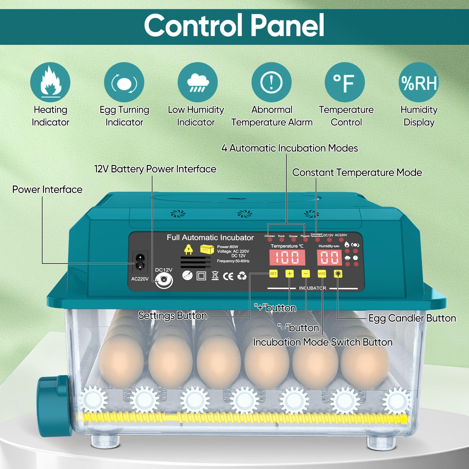 Incubadora automática de huevos de 36 huevos,Incubadora automática de huevos con volteo automático de huevos, control de temperatura y humedad, incubadoras para Eclosión de Pollo, Cana (36 huevos)
