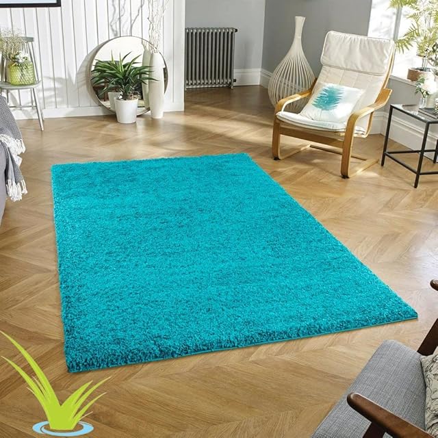 Wadan 160x230cm Teal Blue Small Large Shaggy Rug Modern Rugs Living Room Extra Large Small Medium Rectangular Size Soft Touch Thick Pile Living Room Area Rugs Non Shedding
