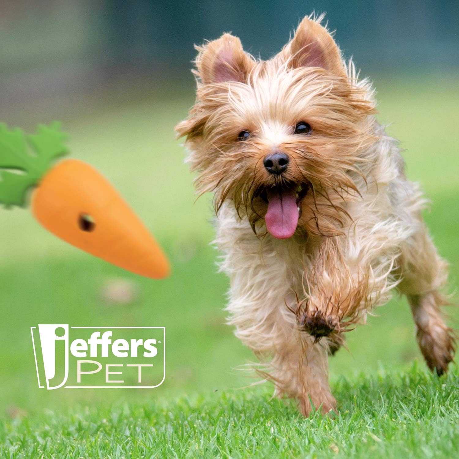 Jeffers Pet Kauspielzeug für Hunde aus Naturkautschuk, Babykarotte, klein, Leckerli-Dosierung, Vanilleduft, langlebig, ungiftig, spülmaschinenfest, interaktives Apportier- und Zerrspielzeug – perfekt
