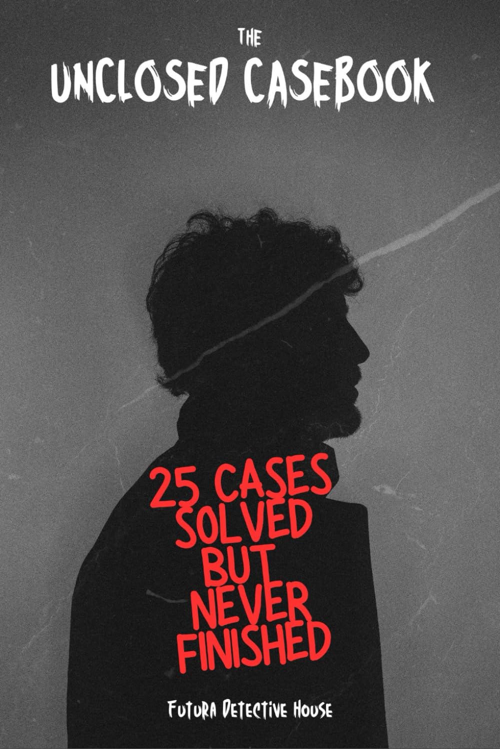 The Unclosed Casebook : 25 Cases Solved—But Never Finished: A Journey Across the World Where Solving the Crime Wasn’t the End
