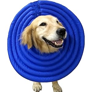comfy collar amazon