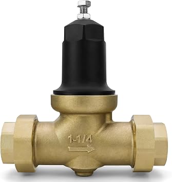 114-NR3XL Pressure Reducing Valve With Double Internal Thread Pipe Npt Connection 1-1/4" Nr3xl Compact Cartridge, 114-NR3XLDU