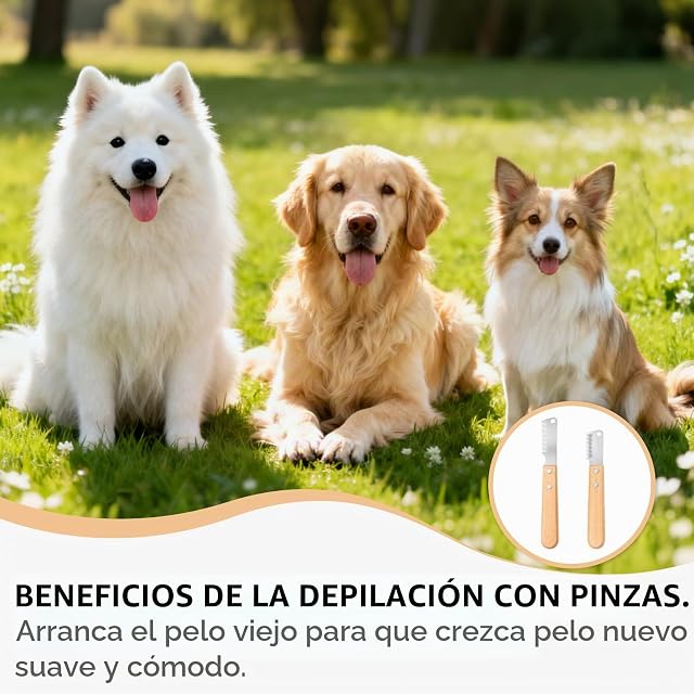 Foto 6 de 6 de 2PCS Cuchillo de Perro Pelando, 17cm, Cuchillo para Cuidado de la Estructura