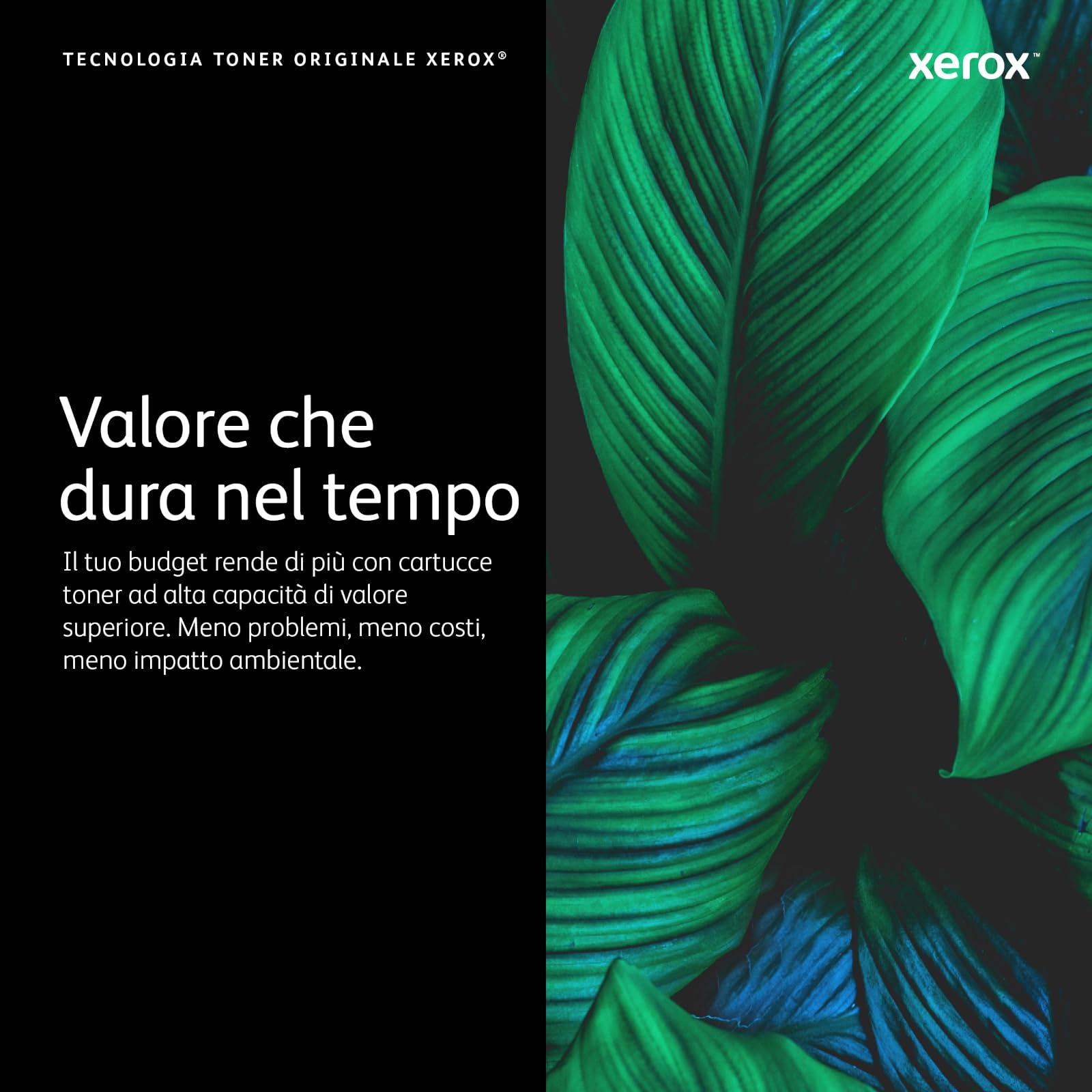 Xerox Genuine Phaser 7500 Ciano, Cartuccia Toner Capacità Standard (9,600 Pagine) - 106R01433