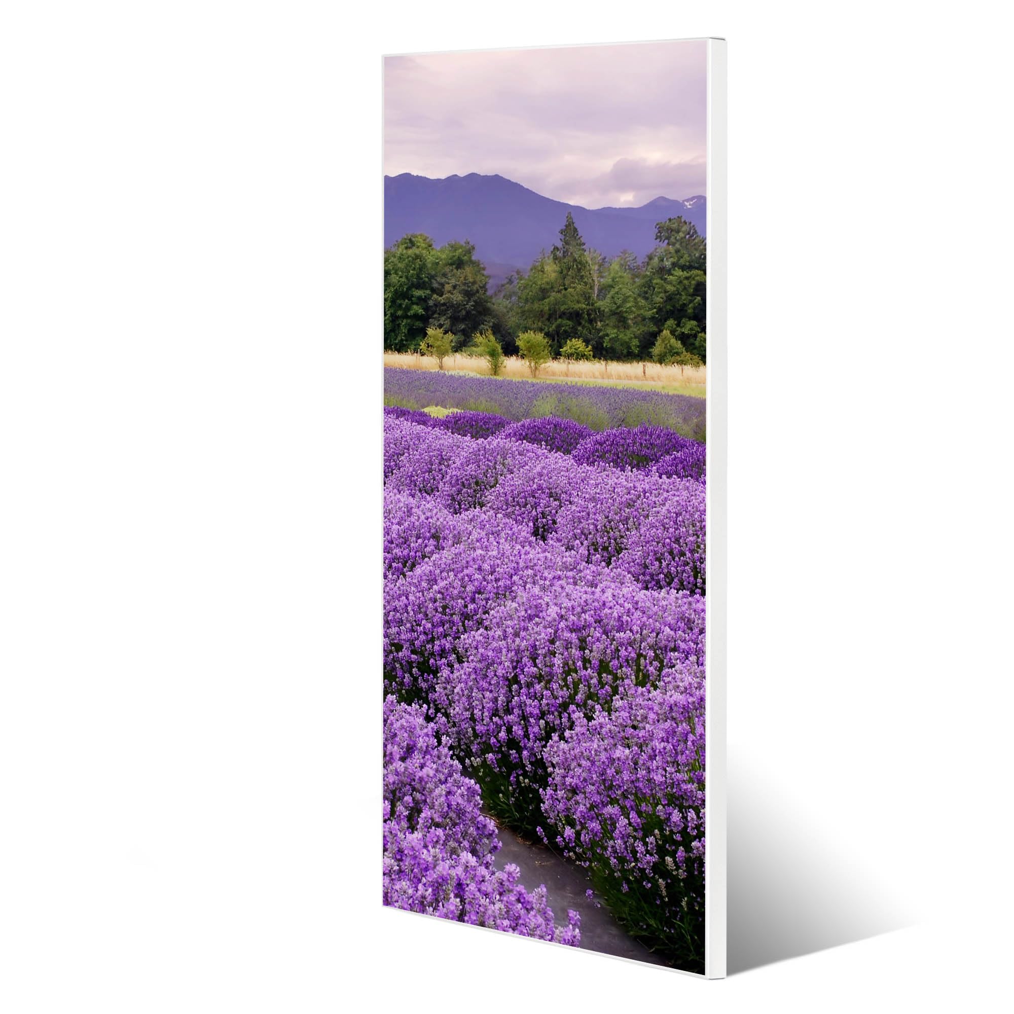 Banjado Magnettafel 30 X 75 Cm – Motiv Daphne, Inkl. 4 Magnete & Montageset