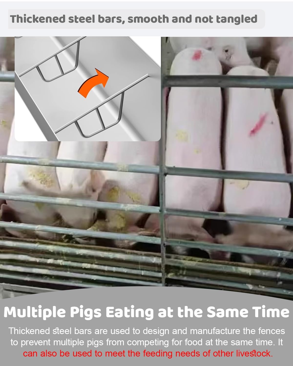 Futtertrog, robuster Futtertrog für Schweine mit 5, 8 oder 10 Löchern – auslaufsicherer Futtertrog aus Metall für Ferkel, Pferde, Schafe und Rinder – 2 m langer Futtertrog für den Außenberei