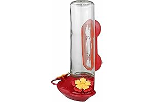 Perky-Pet: 14oz Vibrant Red Window Mounted Hummingbird Feeder for Hours of Entertainment