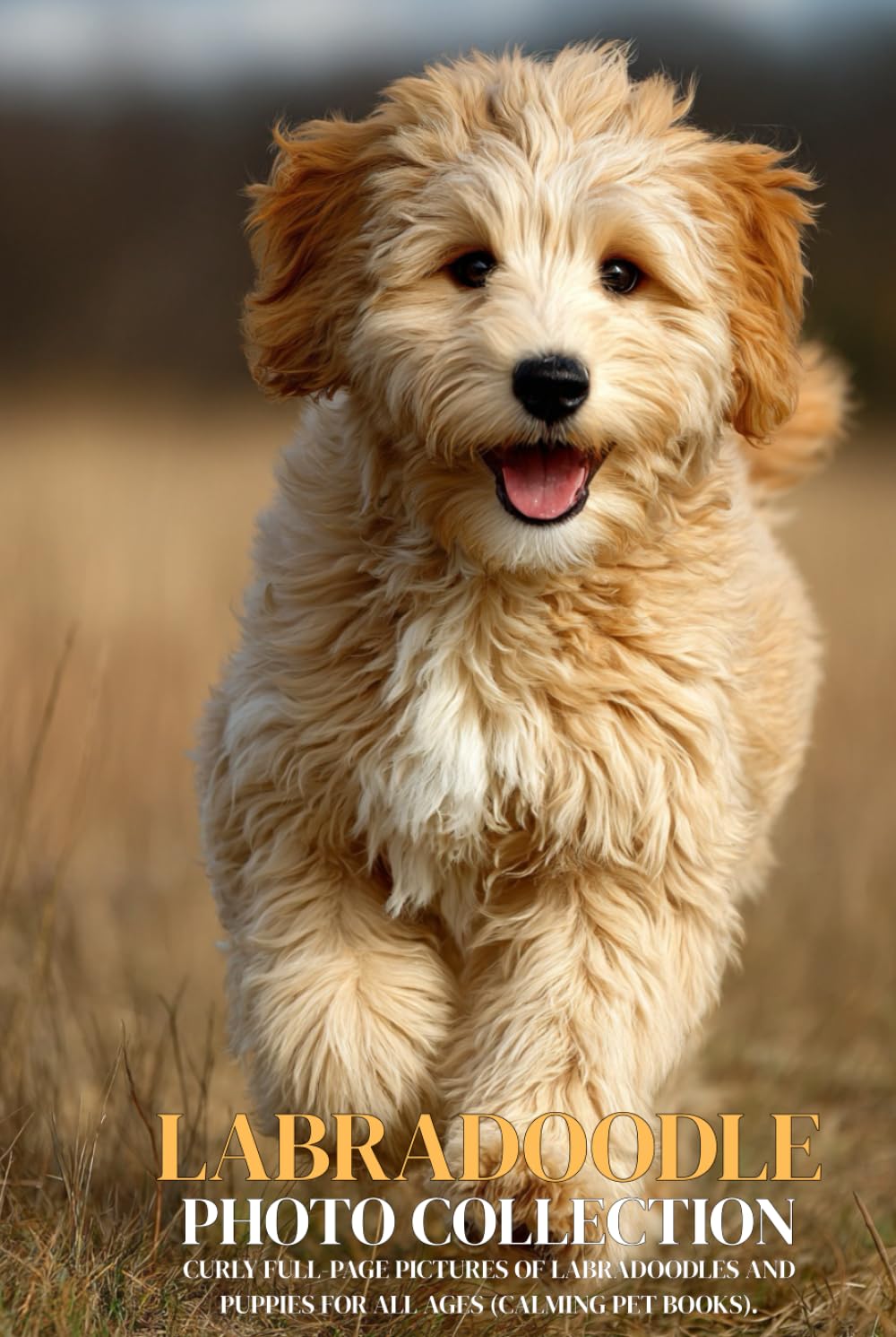 Labradoodle Photo Collection: Curly Full-Page Pictures of Labradoodles and Puppies for All Ages (Calming Pet Books).