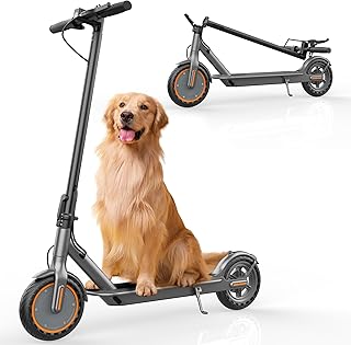 Sigravy Electric Scooter for Adults, Foldable Commuter E Scooter, 500W/350W Motor, 19 MPH, Up to 21 Miles Range, 8.5"/10" Tires, Dual Suspension, App Control, Dual Braking System