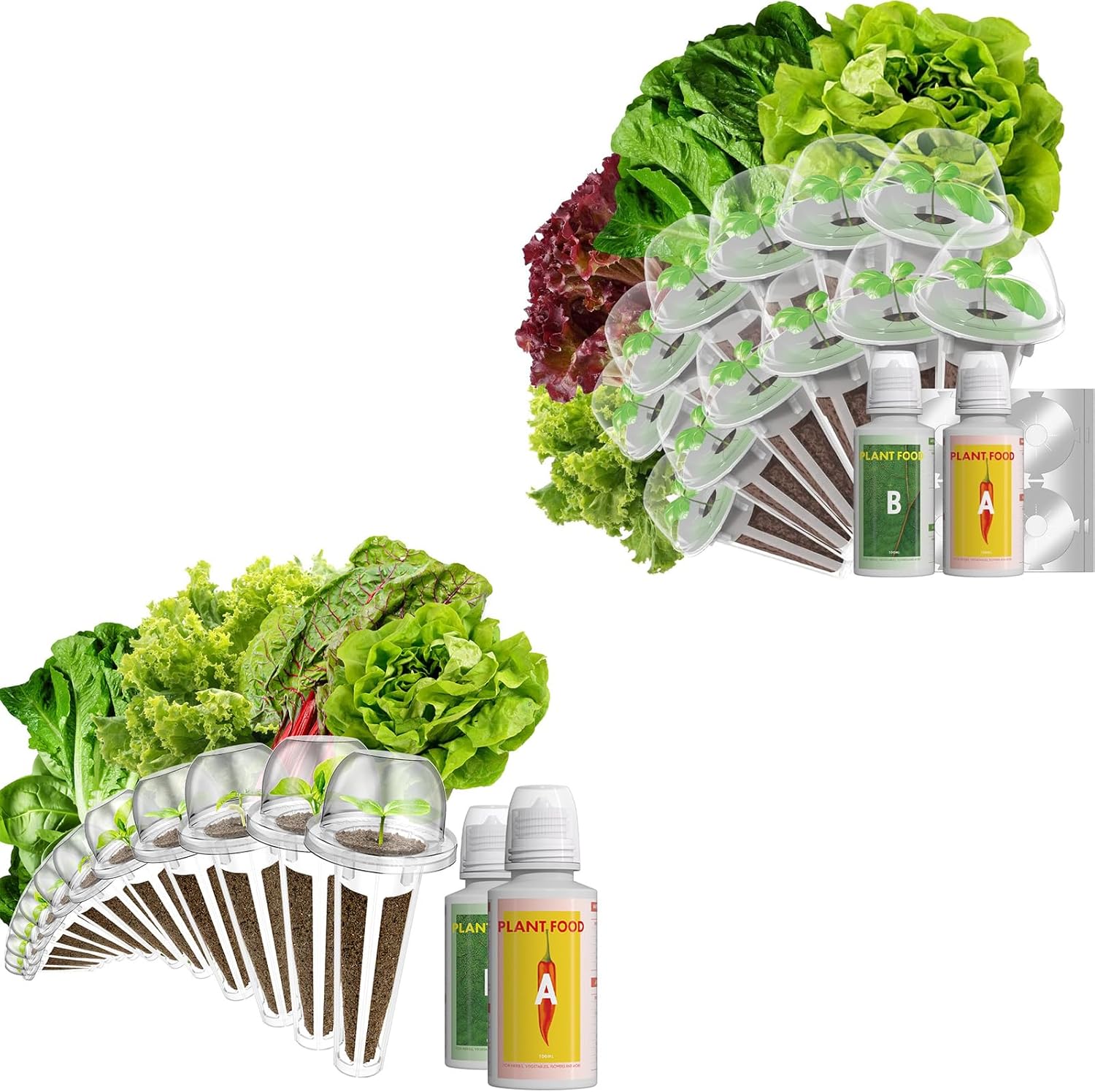 Salad Green Seed Pod Kits and Romaine Lettuce Seed Pod Kits