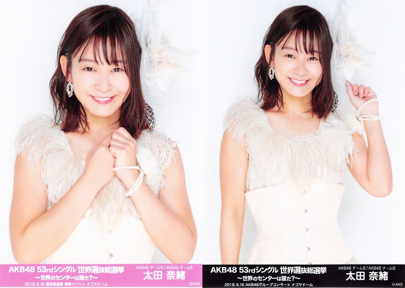 AKB48 総選挙 コンサート 開票 イベント 生写真 STU48 2種コンプ AKB48