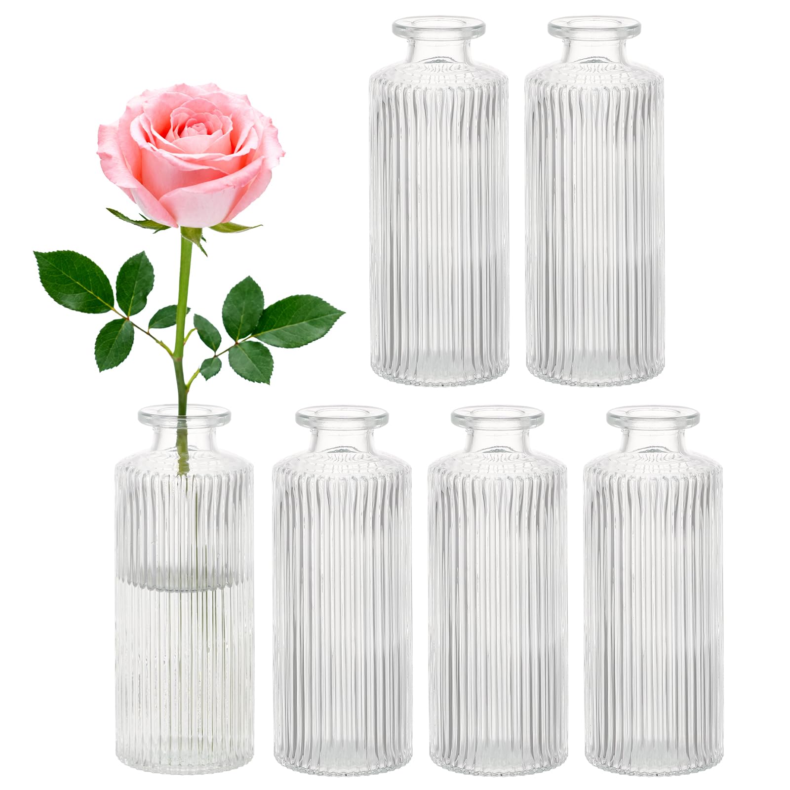 Segus Small Glass Vases, 6 Pieces Transparent Vases for Decorative Centerpiece Living Room Dining Room Bedroom