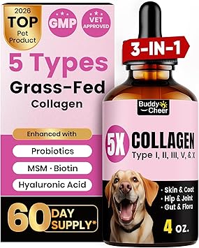 Premium Collagen for Dogs & Cats 5 Types of Grass-Fed Collagen I, II, III, V & X, Fast Allergy & Itch Relief Dog Colageno with MSM, Biotin & Hyaluronic Acid Supports Healthy Skin & Joints 120ml