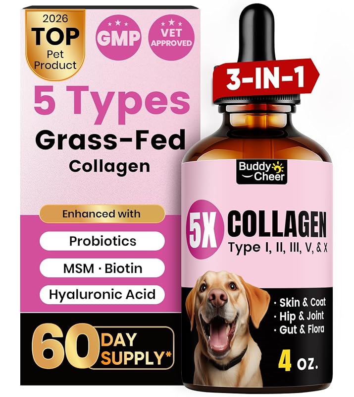 Suplemento Líquido de Colágeno para Cães e Gatos BuddyCheer com MSM, Biotina e Ácido Hialurônico, Sabor Bacon, 120 mL